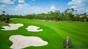 15118-frescott-way-naples-fl-34110-golf-view